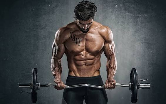 Gym & Massage